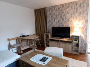 GRBAVICA COZY APARTMENT - free parking